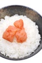 Japanese cooked rice with karashi mentaiko Royalty Free Stock Photo