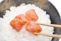 Japanese white rice with karashi mentaiko Royalty Free Stock Photo