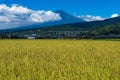 Japanese countryside landscape of rice field with Mt Fuji Royalty Free Stock Photo