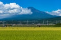 Japanese countryside landscape of rice field and Mt Fuji