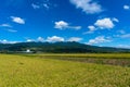 Japanese countryside landscape with rice field Royalty Free Stock Photo