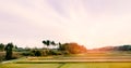 Japanese countryside with rice field Royalty Free Stock Photo