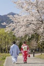 Japanese couple in traditional clothes stroll under flowering trees, Kawaguchi, Japan