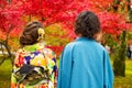 Japanese Couple Wear Kimono at autumn