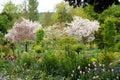 Japanese crab apple trees at the Garden of Monet in Giverny
