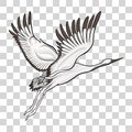 Japanese crane drawing. Stock vector illustration.