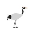 Japanese crane illustration for children Royalty Free Stock Photo