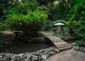 Japanese Crane Stone and Lantern in summer garden Royalty Free Stock Photo