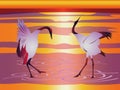 Japanese cranes