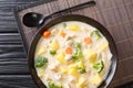 Japanese cream stew is a winter warmer, combining chicken and root vegetables with a savoury cream based sauce close-up Horizontal