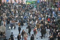 Japanese cross the road on Shibuya street. Royalty Free Stock Photo