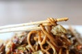 Japanese cuisine, frid noodles Yakisoba Royalty Free Stock Photo