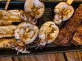 Japanese cuisine grilled, various kind of skewers Yakitori Royalty Free Stock Photo