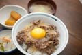 Japanese Cuisine GyÃÂ«don Royalty Free Stock Photo