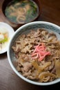 Japanese Cuisine GyÃÂ«don Royalty Free Stock Photo