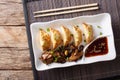 Japanese cuisine: gyoza with salad of seaweed and soy sauce on a Royalty Free Stock Photo
