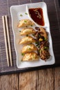 Japanese cuisine: gyoza with salad of seaweed and soy sauce on a Royalty Free Stock Photo