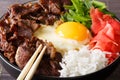 Japanese cuisine: gyudon beef with rice and onion macro. horizon