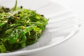 Japanese cuisine, healthy organic sea food. Seaweed salad Royalty Free Stock Photo