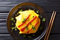 Japanese cuisine: omurice with rice, chicken and vegetables close-up. horizontal top view Royalty Free Stock Photo