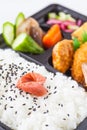 japanese cuisine a single-portion takeout Royalty Free Stock Photo