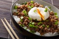 Japanese cuisine: spicy meat Soboro with egg poached, rice and g