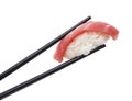 Japanese cuisine. Sushi. Royalty Free Stock Photo