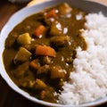 Japanese Curry rice