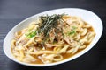 Japanese Curry Udon Noodle Soup
