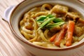 Japanese curry Udon noodles