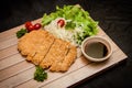 Japanese deep fried breaded pork cutlet served with shredded cabbage and tonkatsu sauce on wooden plate and black background Royalty Free Stock Photo