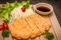 Japanese deep fried breaded pork cutlet served with shredded cabbage and tonkatsu sauce on wooden plate and black background Royalty Free Stock Photo
