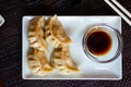 Japanese dish - dumplings gyoza with soy sauce on white plate Royalty Free Stock Photo