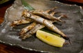 Japanese dish, grilled shishamo fish with lemon.