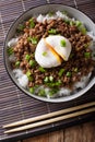 Japanese dish: spicy meat Soboro with egg poached and rice close