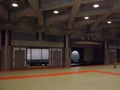 Authentic Japanese Dojo