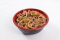 Japanese donburi