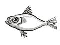 Japanese Dory Fish Cartoon Retro Drawing