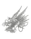 Japanese dragon head vector vintage engraving style Royalty Free Stock Photo