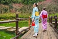 Japanese dressing kimono sightseeing sakura Royalty Free Stock Photo