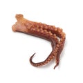 Japanese dried squid tentacle with vinegar flavor Royalty Free Stock Photo