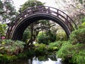 Japanese drum bridge in the rain Royalty Free Stock Photo
