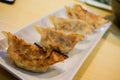 Japanese Dumpling `gyoza` serve on white plate