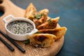 Japanese dumplings snack or side dish called Gyoza or Jiaozi in