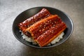 Japanese eel grilled with rice bowl or Unagi don Royalty Free Stock Photo