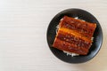 Japanese eel grilled with rice bowl or Unagi don Royalty Free Stock Photo