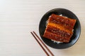 Japanese eel grilled with rice bowl or Unagi don Royalty Free Stock Photo