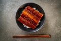 Japanese eel grilled with rice bowl or Unagi don Royalty Free Stock Photo