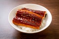 Japanese eel grilled with rice bowl or Unagi don Royalty Free Stock Photo