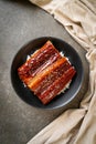 Japanese eel grilled with rice bowl or Unagi don Royalty Free Stock Photo